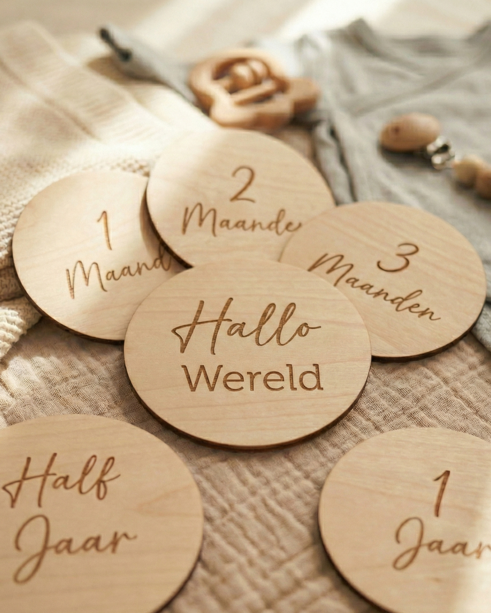 Baby mijlpaalschijven — Set van 12